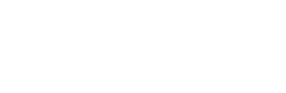 LOGO-Solene-Vasseur-blanc